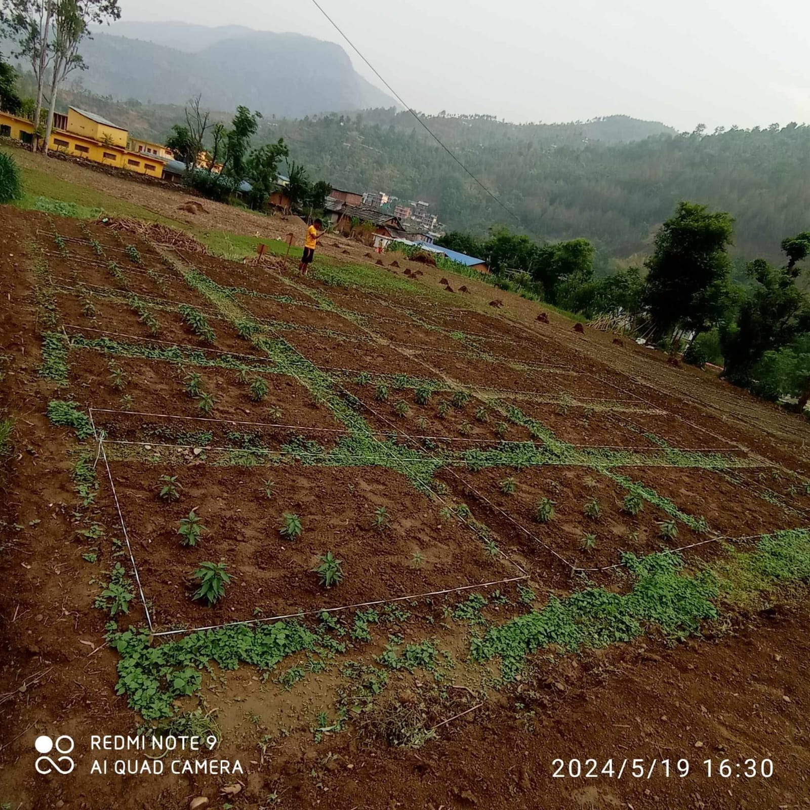 WhatsApp Image 2026-05-19 at 10.44.56 AM